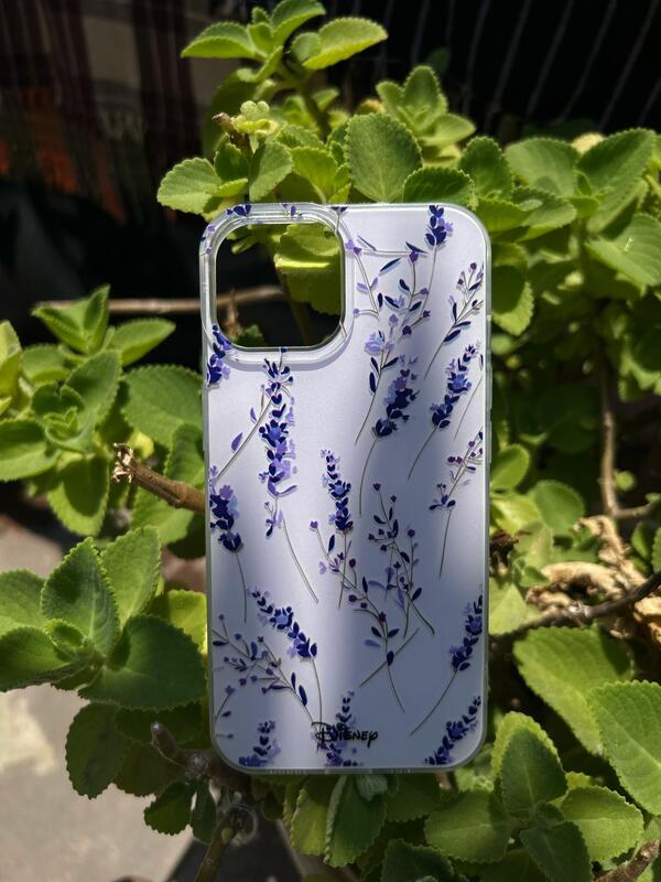 AESTHETIC CASE AESTHETIC CASE