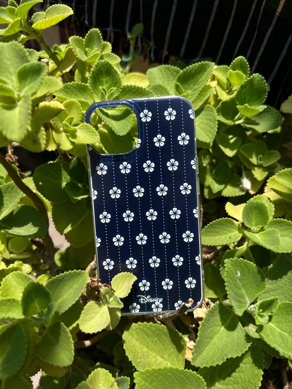 AESTHETIC CASE AESTHETIC CASE